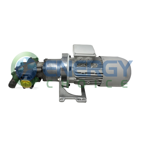 Oil Pump, Energy Choice, E1012508