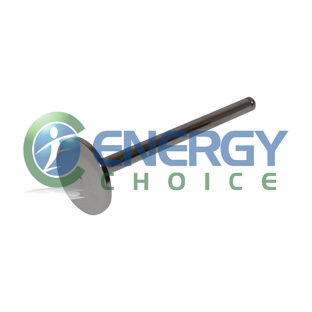 Intake Valve, Energy Choice, E4013791