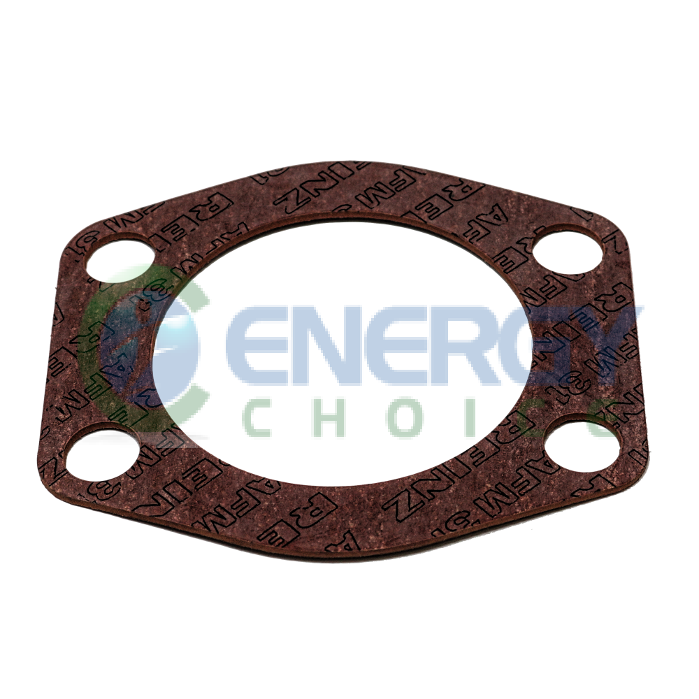 Gasket, Energy Choice, E8017458