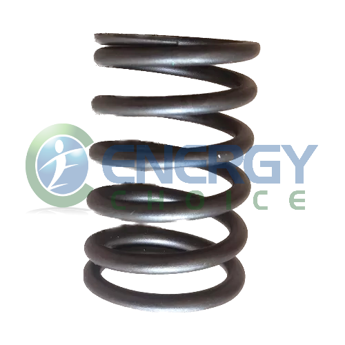 Valve Spring, Energy Choice, E8026621